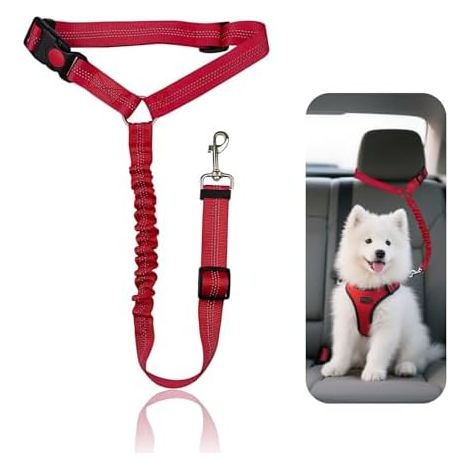 Harnais Securite Chien, Voiture, Ceinture, Petit, Moyen, Chiots, Voyage, Auto, Robuste, Sangle (1/5)