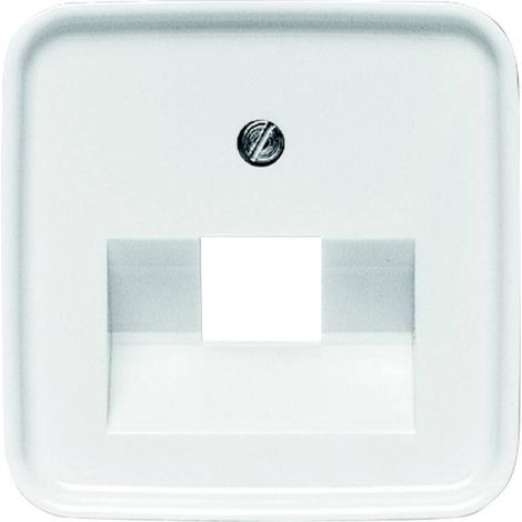 BUSCH-JAEGER 1753-0-8394 ACCESSOIRE DE COMMUTATION ÉLECTRIQUE (1/2)