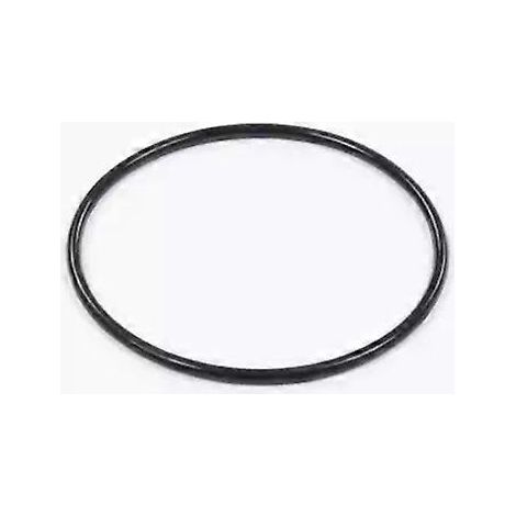 Joint de remplacement P6664 pour filtre à sable Bestway Flowclear 58397 / 58634 / 58515 Pièces ( ) (1/3)