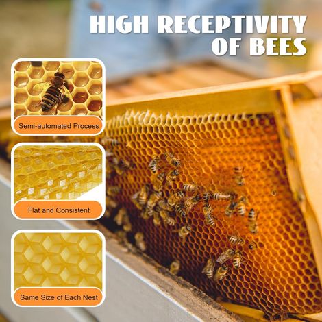 30 Pack Beeswax Bee Hive Foundation, Deep Cell Wax Foundation Sheets for Beekeeping, Natural Beeswax Comb Base for Honey Bee Hive Frames, Beekeeping Supplies for Honey Production, 7.68" x 16.34" (1/5)