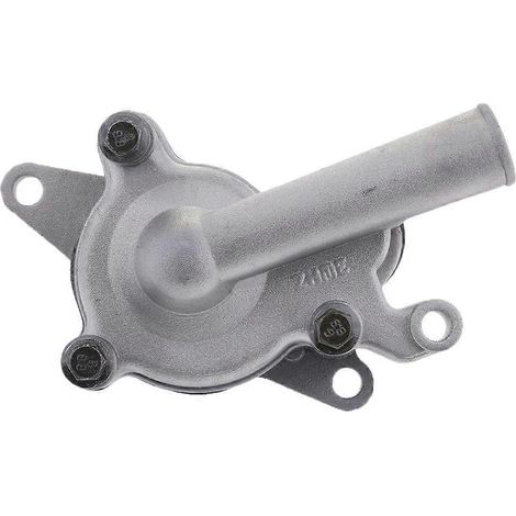 Ersatz-Wasserpumpeneinheit für 250-cm³-Quads LH250 YP250 (1/5)