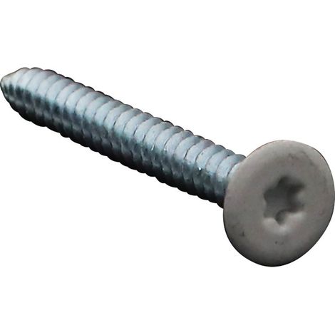 Vis tôle Double filet Tête plate TORX T20 4.8X45 Acier zingué RAL9010 blanc pur-1 pièce