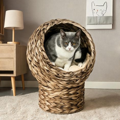 Maison pour chat gris en bananier 40 x 37 x 51 cm (1/5)