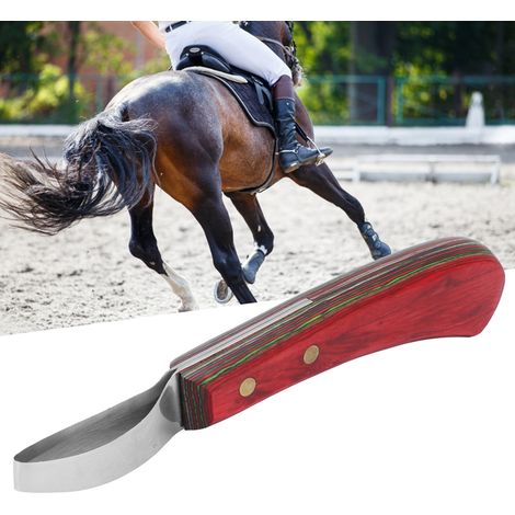 Cuchillo de cuerno curvo con mango de madera compuesta – acero cincelado – 19,5 cm de longitud para herreros – 1 pieza (1/5)