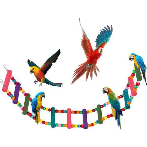 12 Wooden bridge, flexible ladder, round beads, stainless steel wire, birdcage, parrots (1/5)
