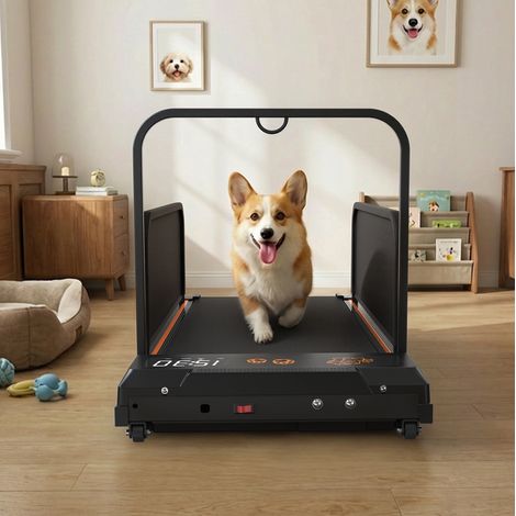 Tapis roulant per cani 109,5x49x72 cm in metallo nero, salvaspazio da interno FloraGrace (1/5)