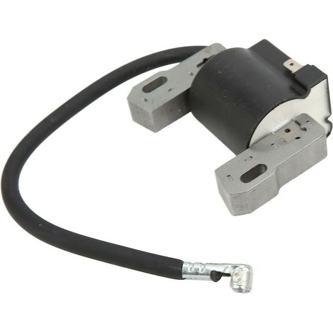 Engine Ignition Coil Module 590454 692605 790817 Stable Performance For Bs Lawn Mower (1/4)