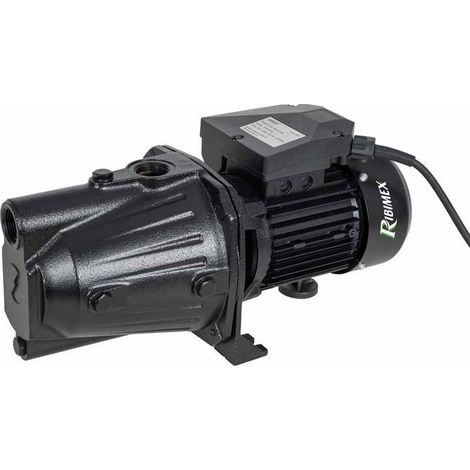Pompe de Surface 1000W - Corps Long - Performance Élevée - Idéale pour Irrigation - D-Work (1/2)