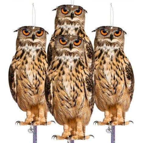 Lot de 4 Les faux hiboux éloignent les oiseaux Dispositif effrayant pour effraient les pigeons Pics Éloigner Verger Cour (1/5)