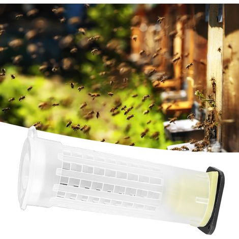 Lot de 15 cages d'élevage de reines abeilles en plastique avec protection anti-morsure, matériel apicole et outil anti-insectes (1/5)