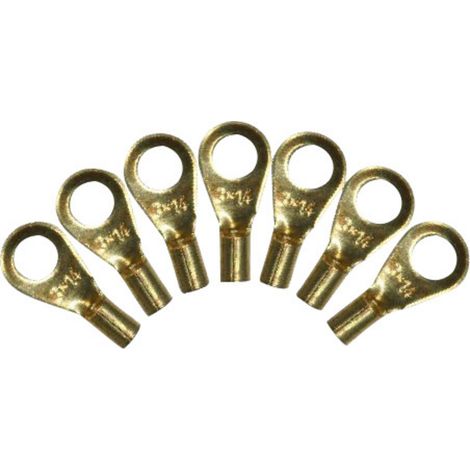 BELI-BECO 142/2 Steckschuh Kontaktoberfläche Messing 100 St.  (Ø x L) 3 mm x 12 mm