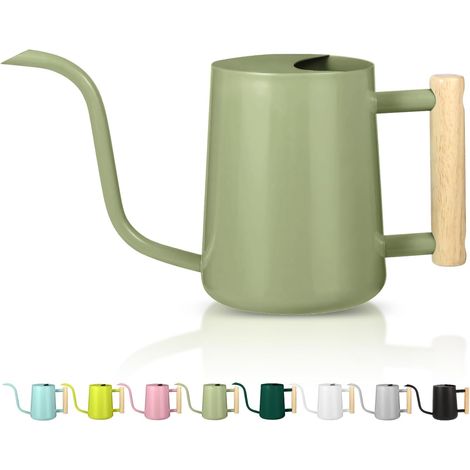 Arrosoir pour plantes d'intérieur - 1 l - Petit arrosoir décoratif moderne en acier inoxydable - Avec long bec - Pour la maison, le bonsaï, l'extérieur, le jardin - Vert avocat (1/5)