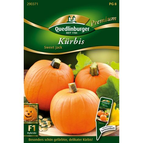 Quedlinburger Saatgut – Courge « Sweet Jack » – Graines de légumes, fruits ronds de 1 à 2 kg, Ø 25-30 cm (1/2)