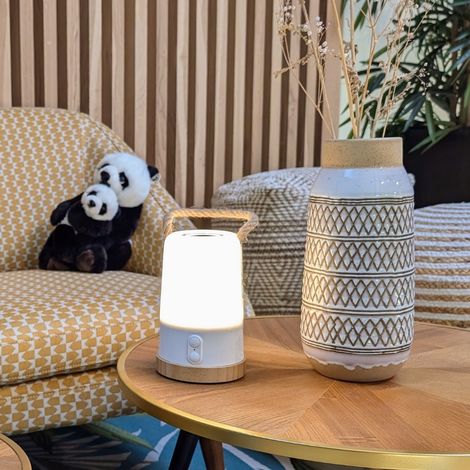 Lampe RGB et enceinte bluetooth (1/3)