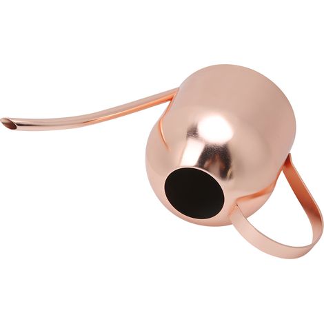 Regadera de acero inoxidable de 1000 ml con boquilla larga y recipiente de cobre para plantas de jardín. (1/5)