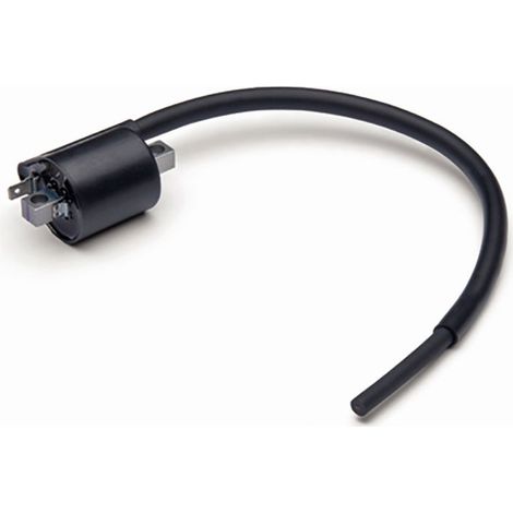 Bobina di accensione Gauss per Yamaha Crypton 105, AT 115 Neos, Grizzly 600 '98-'01 (codici OEM: 4ST-H2310-00 3KJ-82310-10 5LW-H2310-00 5LW-H2310-01) (interasse fori 55 mm)