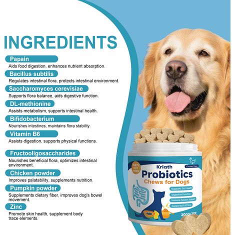 Comprimés à croquer probiotiques pour chiens - Formule douce, soin quotidien pour chiens, équilibre de l'organisme - 200 g (1/5)