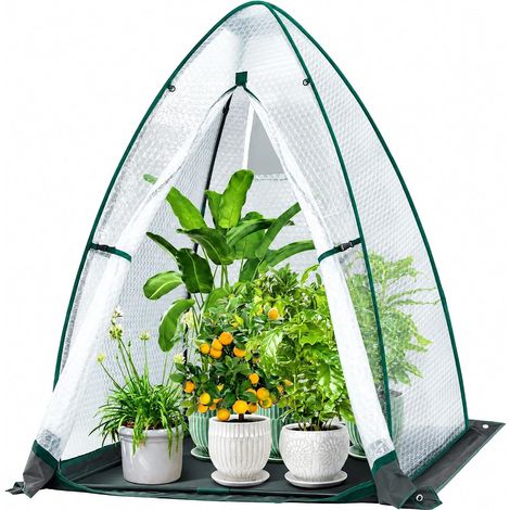 Petite serre d'hivernage pour plantes 120 x 120 x 180 cm (1/5)