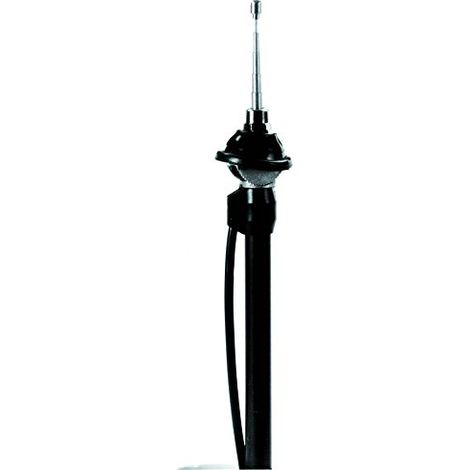 Carpoint 2010016 Antenna Automatica Cromata (1/2)