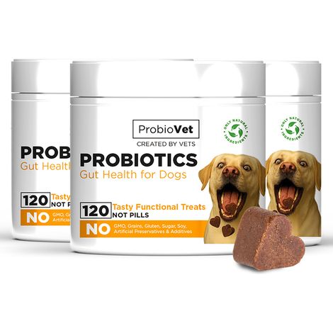 Probiotique Chien en bouchées tendres – Soutien de la santé intestinale, de la Digestion et de l’immunité Naturelle – complément Savoureux pour Un microbiome équilibré - 120 Pièces (1/5)