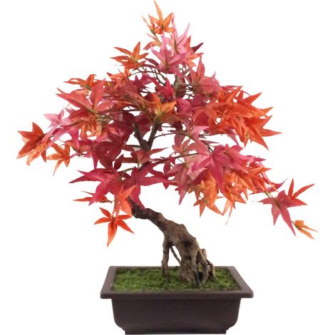 50cm Artificial Red Maple Bonsai Tree