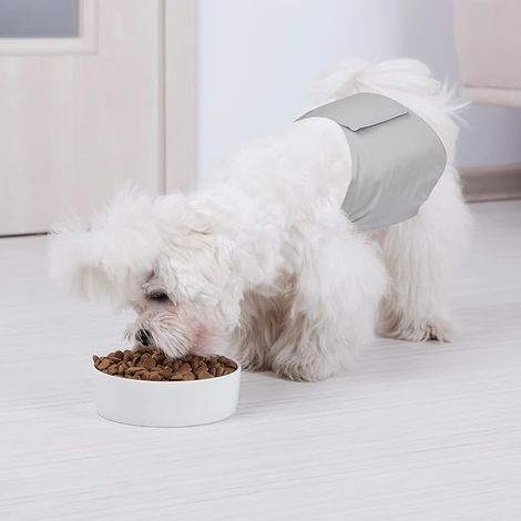 Couches Lavables Réutilisables pour Chien Male Culotte Protection Confort Nappy Lors des Périodes Physiologiques, de Chaleurs, d'Incontinence -XXL(72-94cm) (1/4)