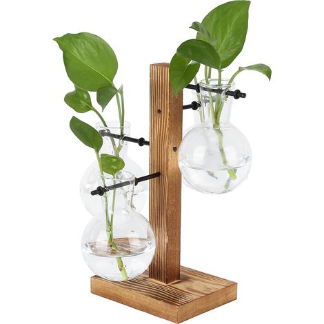 Innovative Hydrokulturvase mit Holzständer für Blumen – Transparente Dekoration für Zuhause oder Büro (1/5)