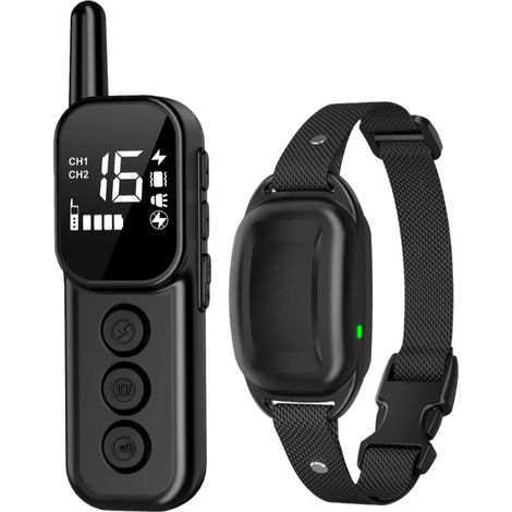 collier dressage chien avec télécommande — Collier d'entraînement étanche, réglable (1/4)