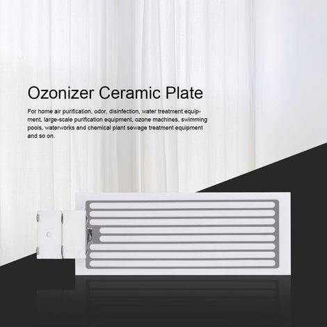 Ortviai Générateur d’ozone portable pour purification de l’air – Plaque céramique 10 g, blanche, 15,5 x 5 cm (1/3)