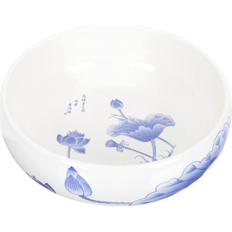 Pot de culture hydroponique en céramique pour plantes succulentes, compatible avec la maison, contenant en céramique blanche (1/5)