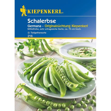 Kiepenkerl Schalerbse Germana (1/2)