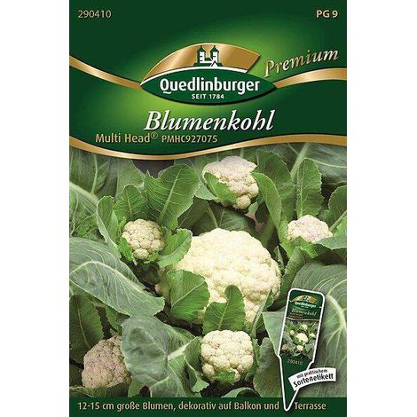 Quedlinburger Blumenkohl Multi Head® PMHC927075 - Gemüsesamen