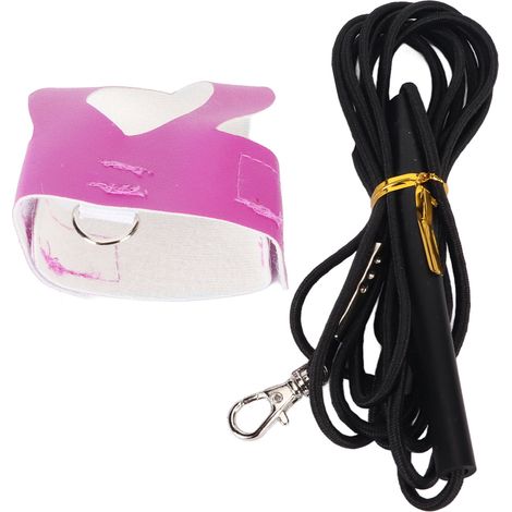 Harnais de vol respirant et réglable pour perroquet et perruche, avec laisse pour l'entraînement au vol en extérieur (2 m, taille S). (1/5)