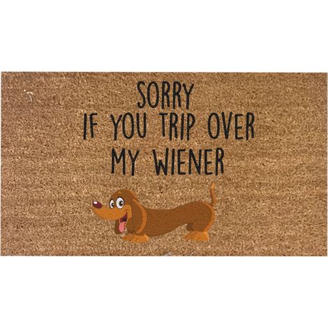 Tapis De Seuil - Tapis D'Entrée Extérieur Et Intérieur - Antidérapant Absorbant Humidité - Pour Porte D'Entrée Chambre Salon Couloir - 40 x 60 cm (1/5)