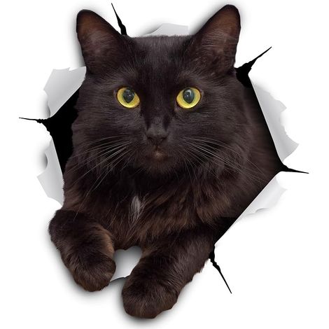 Pegatinas de pared de gato 3D - Pack de 2 - Divertidas pegatinas decorativas - Pegatinas de gatito siamés para pared, nevera, baño y habitación (11 x 12 cm) (1/4)