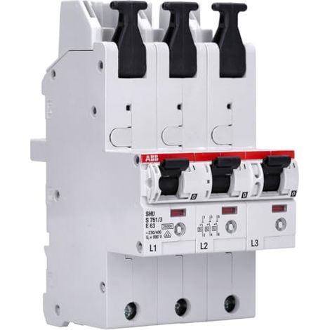 ABB S751/3-E63 - Corta circuitos (230/400, 50/60 Hz, -25 - 55 °C, -40 - 70 °C)