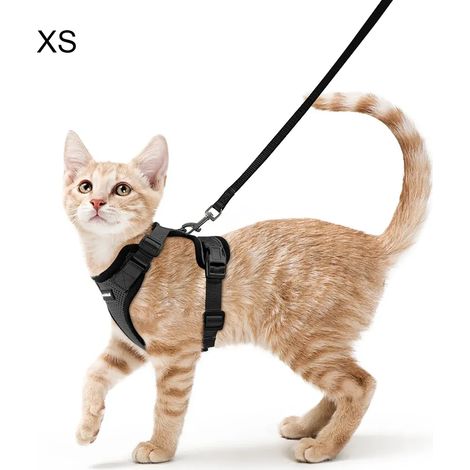Arnés para gato con correa Negro Arnés suave para gato Arnés de pecho para gato Equipo para gato antihuida ajustable Chaleco para gato XS (1/3)