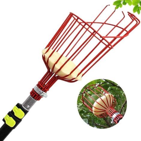 Cueilleur de fruits, outil pour cueillir les fruits hauts, perche non incluse, rouge (1/5)