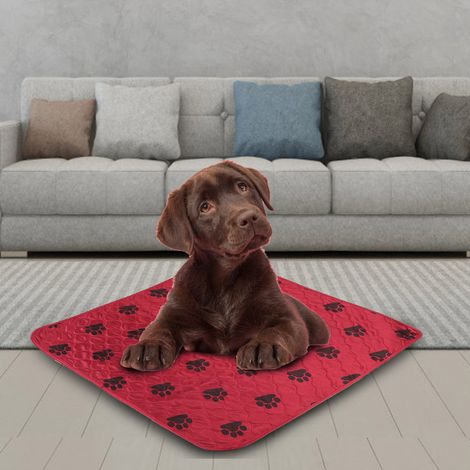 Tapis de lit imperméable et réutilisable pour chiens et chats, idéal pour recueillir l'urine (taille L). (1/5)