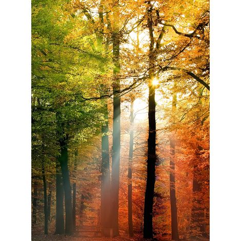 Papier peint panoramique nature vert, jaune & rouge | Tapisserie panoramique foret saison automne d'or | Papier peint panoramique arbre chambre adulte - 192 X 260 cm (4 pièces) (1/2)