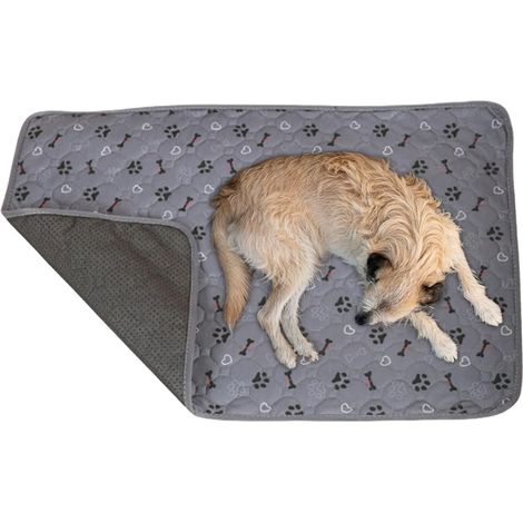 pour Chiens Tapis pour Toilette De ChiotTapis Absorbant (1/5)