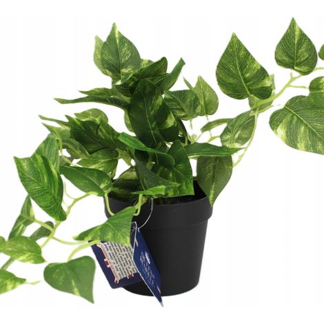 Pianta artificiale in vaso - edera rampicante per decorazione d'interni (1/5)