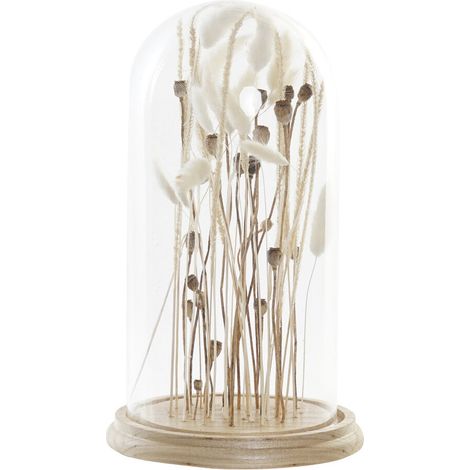 Decoracion Flor Seca Cristal 18X18X32 Espigas FD193637 (1/3)