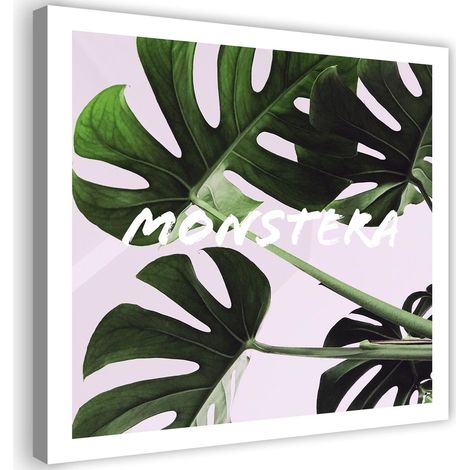 Stampa su tela, Foglie esotiche - monstera - 30x30 (1/4)