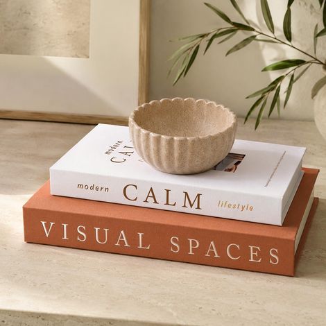 Livres de Décoration pour Maison - Lot de 2 Faux Livres Minimalistes (1/5)