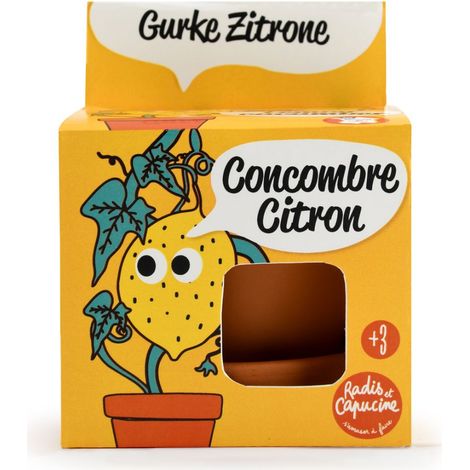 Kit pot terre cuite 8 cm - Concombre citron (1/3)