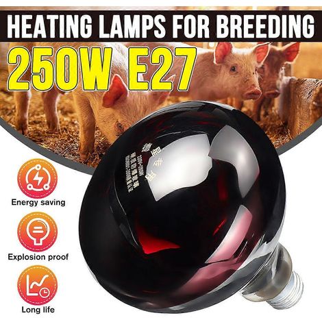 Lampe chauffante 250 W 240 V pour animaux de ferme (poulets, porcelets, chiens), avec thermostat et régulateur de température, idéale pour incubateur. (1/2)