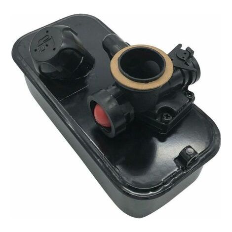 RHG Carburateur Briggs Stratton 93902 95902 95982 96902 96982 98982 (1/5)