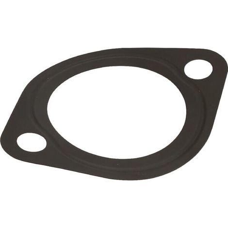 Junta para termostato D1105 KUBOTA 1622173270