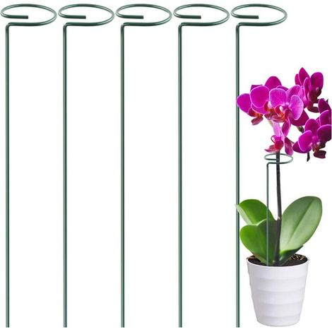 Lot de 10 tuteurs de plantes en acier pour jardin - Support de cage à plantes - Anneau de support en métal - Petit pot de jardin - Treillis - Plante grimpante，Oi-FRIS (1/5)